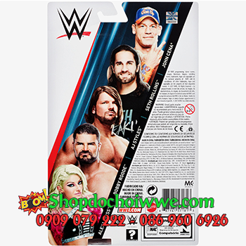 Mô Hình WWE Seth Rollins Series 85