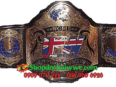 1PW World Heavyweight Title
